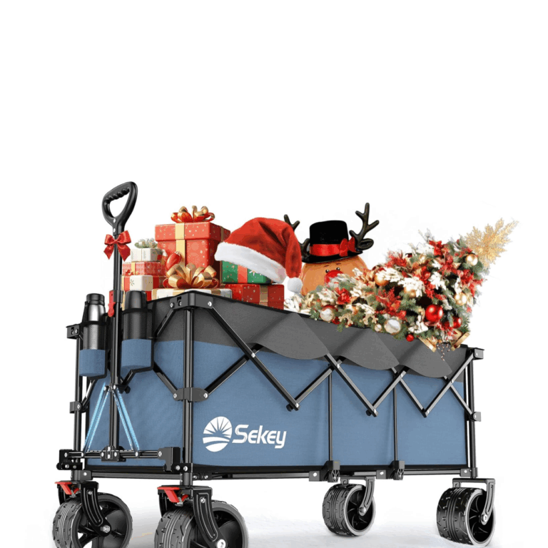 hauptgewinn bollerwagen